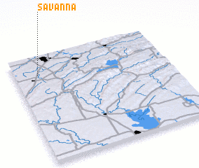 3d view of Savanna