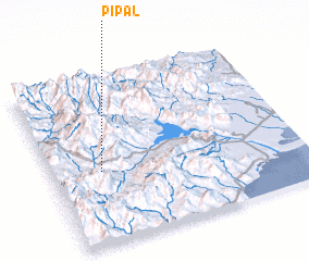 3d view of Pipal