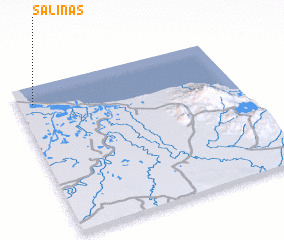 3d view of Salinas