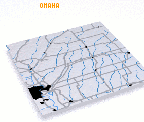 3d view of Omaha