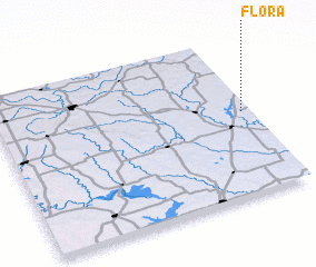 3d view of Flora