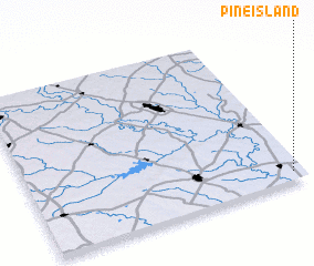 3d view of Pine Island