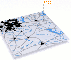 3d view of Frog