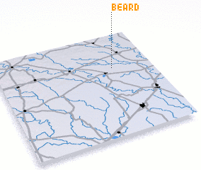 3d view of Beard