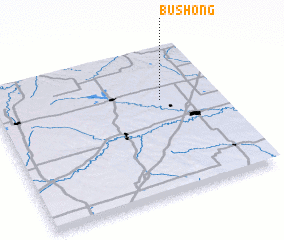 3d view of Bushong