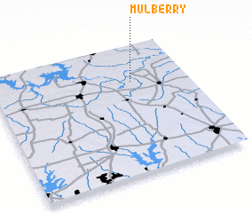 3d view of Mulberry