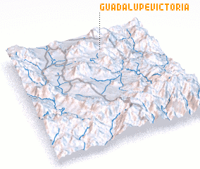 3d view of Guadalupe Victoria