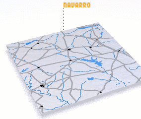 3d view of Navarro