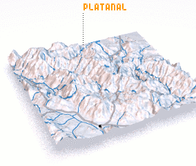 3d view of Platanal