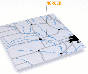 3d view of Mercer
