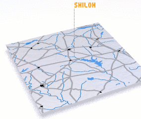 3d view of Shiloh