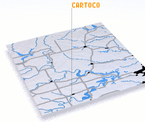 3d view of Cartoco