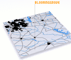 3d view of Blooming Grove