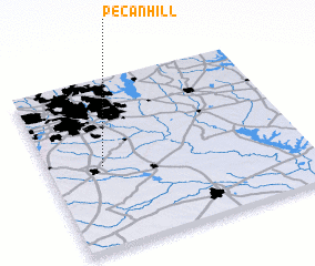 3d view of Pecan Hill