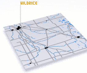 3d view of Wild Rice