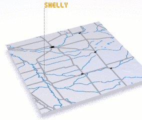 3d view of Shelly
