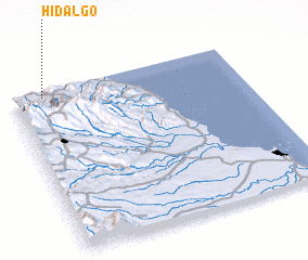 3d view of Hidalgo