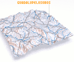 3d view of Guadalupe Los Obos