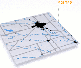 3d view of Salter