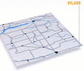 3d view of Pilger