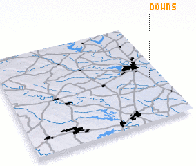 3d view of Downs