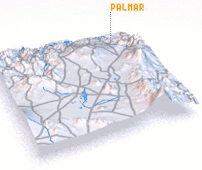 3d view of Palmar
