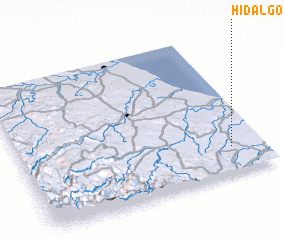 3d view of Hidalgo