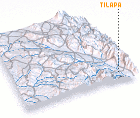 3d view of Tilapa