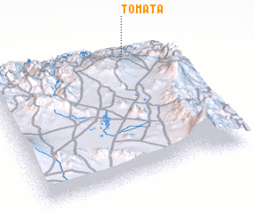 3d view of Tomata