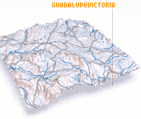 3d view of Guadalupe Victoria