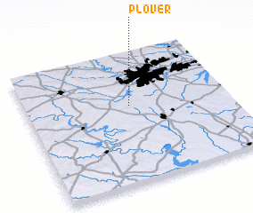 3d view of Plover