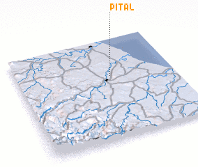 3d view of Pital