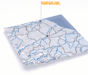 3d view of Naranjal