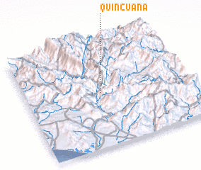 3d view of Quincuaná