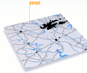 3d view of Briar