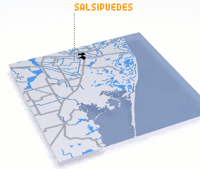 3d view of Salsipuedes