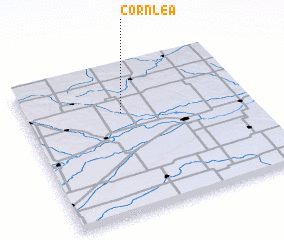 3d view of Cornlea