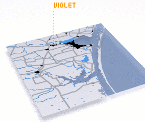 3d view of Violet