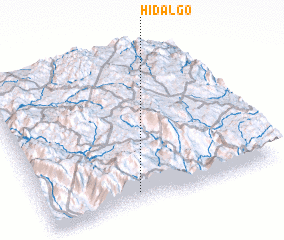 3d view of Hidalgo