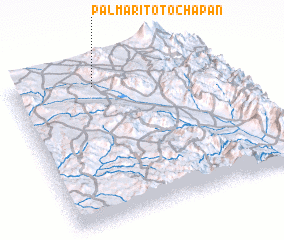 3d view of Palmarito Tochapán