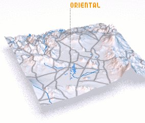 3d view of Oriental