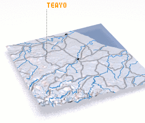 3d view of Teayo