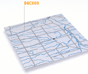3d view of Backoo