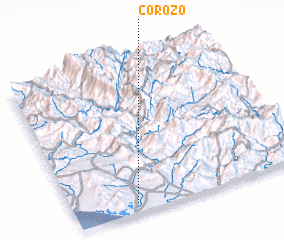 3d view of Corozo