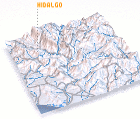 3d view of Hidalgo