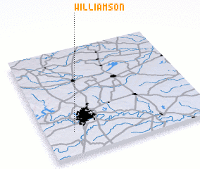 3d view of Williamson