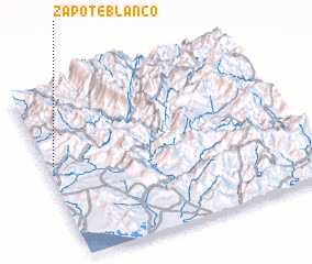 3d view of Zapote Blanco