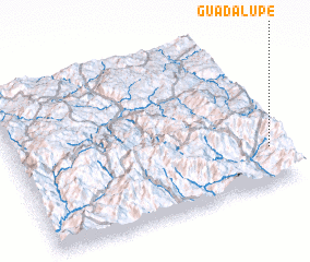 3d view of Guadalupe