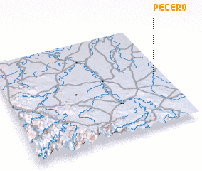 3d view of Pecero