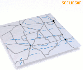 3d view of Seeligson